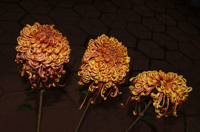 ���޵�ʮ�˷ﻷ