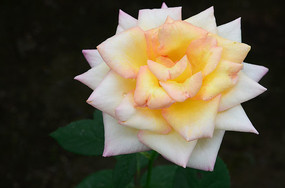 �������¼���