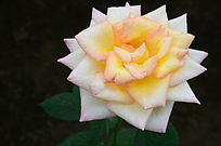 �������¼���