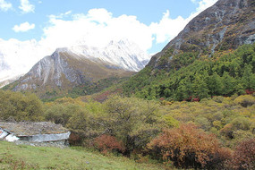 Ѥ���Ƕ�����