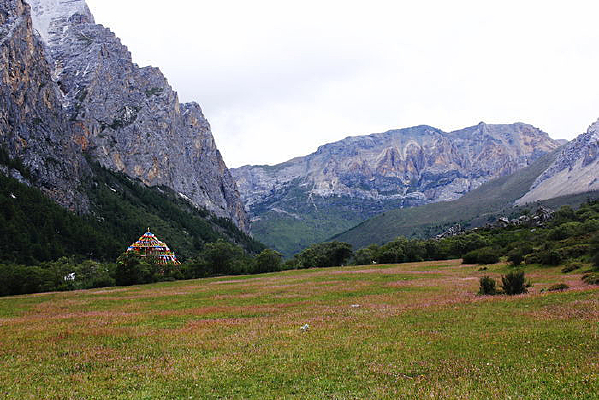 �����Ƕ�����