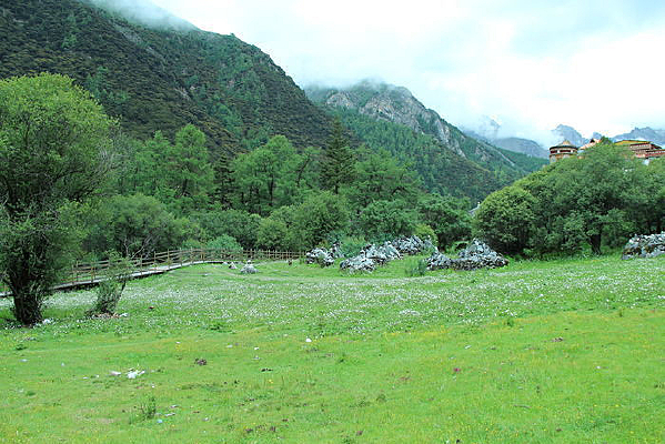 �����Ƕ�����