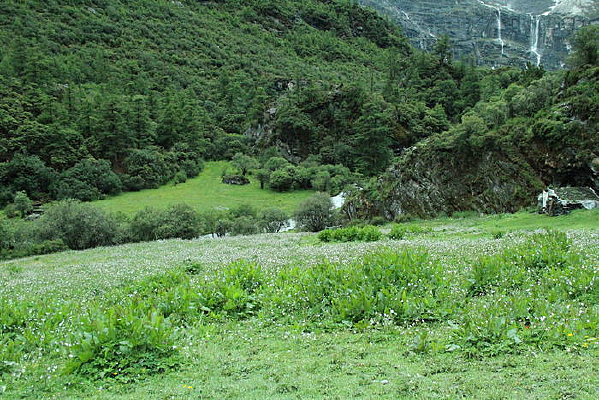 �����Ƕ�����