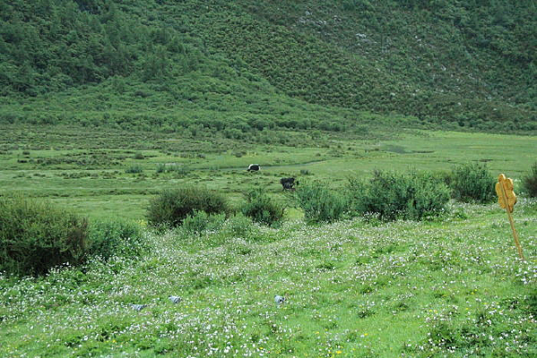 �����Ƕ�����