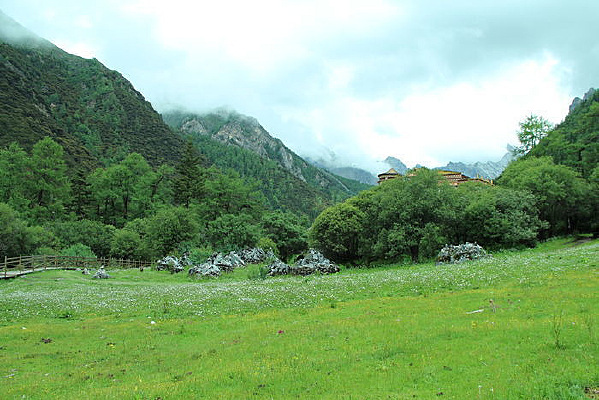 �����Ƕ�����