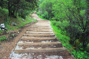 �����Ƕ�����