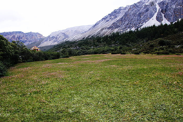 �����Ƕ���ɫ