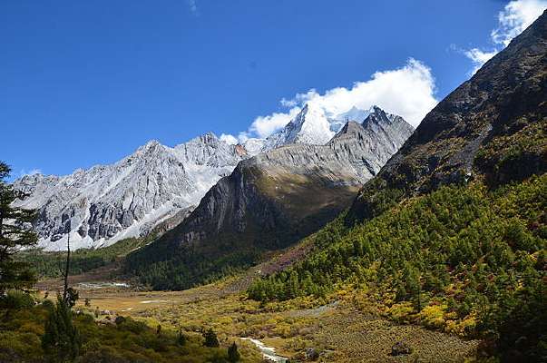 �����Ƕ�����