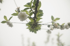 չ������һ�