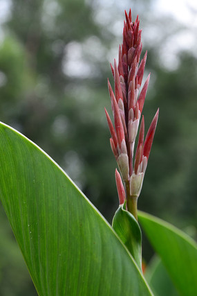 ��ӣ������