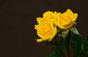 ��ʯ�¼���