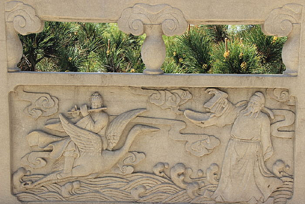 ���ɹ����ڿ�