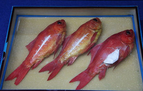 кĽ