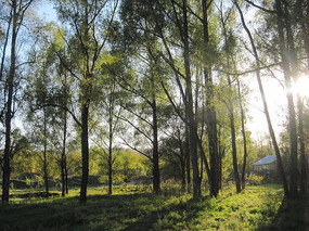 ��ɫ����