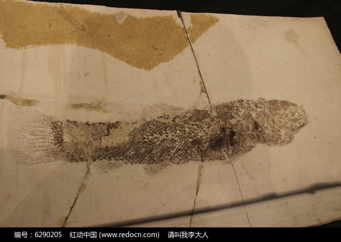 �Ŵ����ﻯʯ����ͼƬ