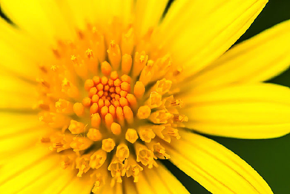 ����ջ���