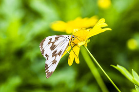 �ջ�����