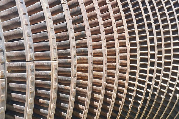 ���Ʊ���