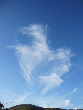 ����˿��