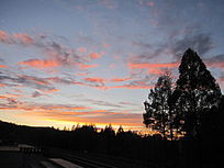 Ϧ������