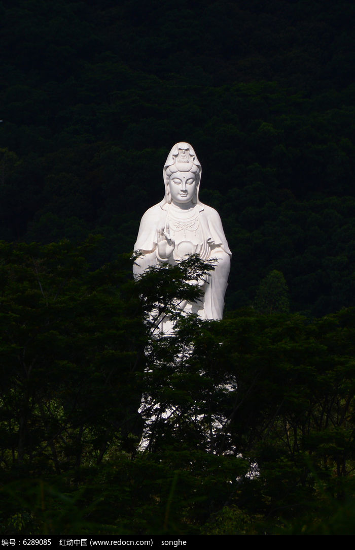 森林里的观音菩萨雕像图片