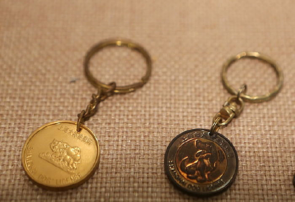 �Ϻ�����Ȯ��׼����