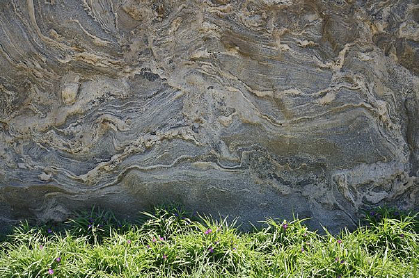 ʯ�����̲�