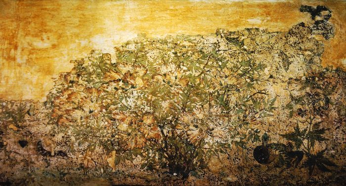 �ƹ���������Ϻ���Ĺ�ڻ�