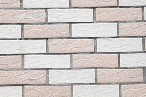 ��ש����