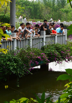 �۾�̨�ϵ��ο�