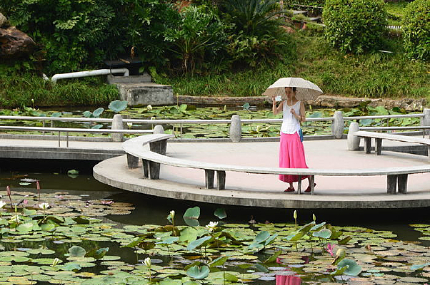 ��������Ů