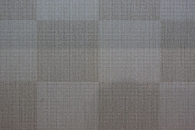 ǳɫ�µ�̺��ש����