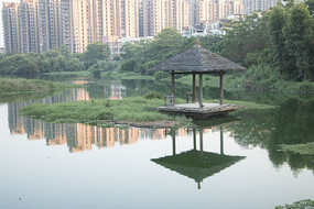 ˮ����ͤ��