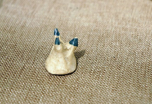 С����֧�վ�