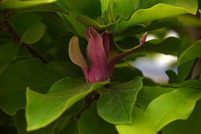 ����������