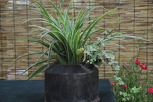 �廨԰������