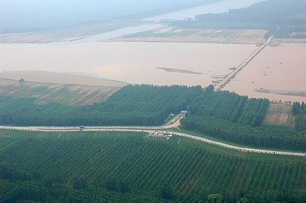 ���Ļƺ� ɭ��