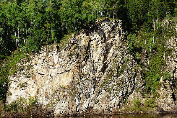 �ŷ�����