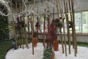 ����ֲ���