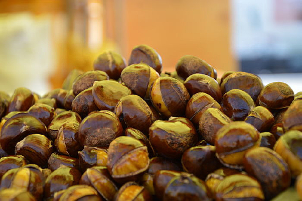 ����Ц�ǳ�����