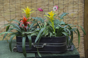 ����������