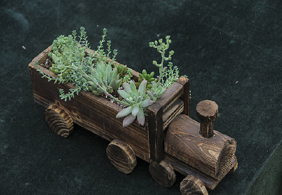 ����ֲ��С��԰