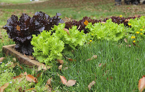 ��������