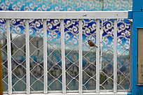 Χ���ϵ�С��