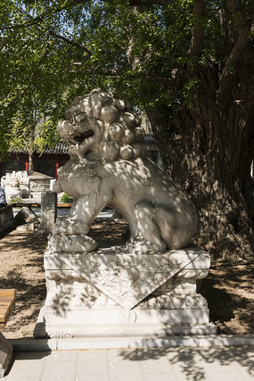 �����µ�ʯʨ��