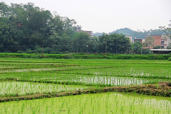 ϣ������Ұ