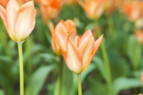 ����ۻ�Ա�������λû���