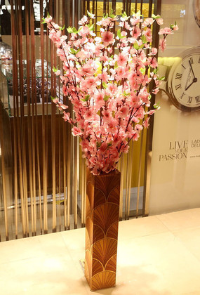 ���һ���ľ�Ƴ�����ƿ