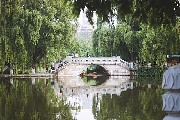 ������Ķ�����