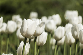 �λ�����������